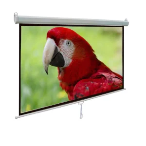 PP022 PANTALLA PARED Hi-Screen 155 X 155 FORMATO 1:1  mas iva