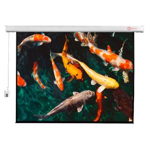 ELECTRICA PE0031 PANTALLA ELECTRICA Hi-Screen 600 X 450 FORMATO 4:3 IVA INCLUIDO ENTREGA INMEDIATA