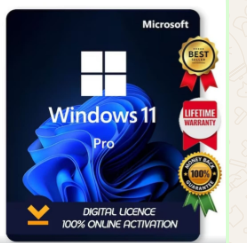 NUEVO  FQC-10572 Windows Professional 11 64-bit License 1 License Downloadable ESD NR( IVA  INCLUIDO