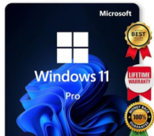 Windows 11 Profesional 64 Bit Espanish Latam (FQC-10553)  OIM   IVA INCLUIDO